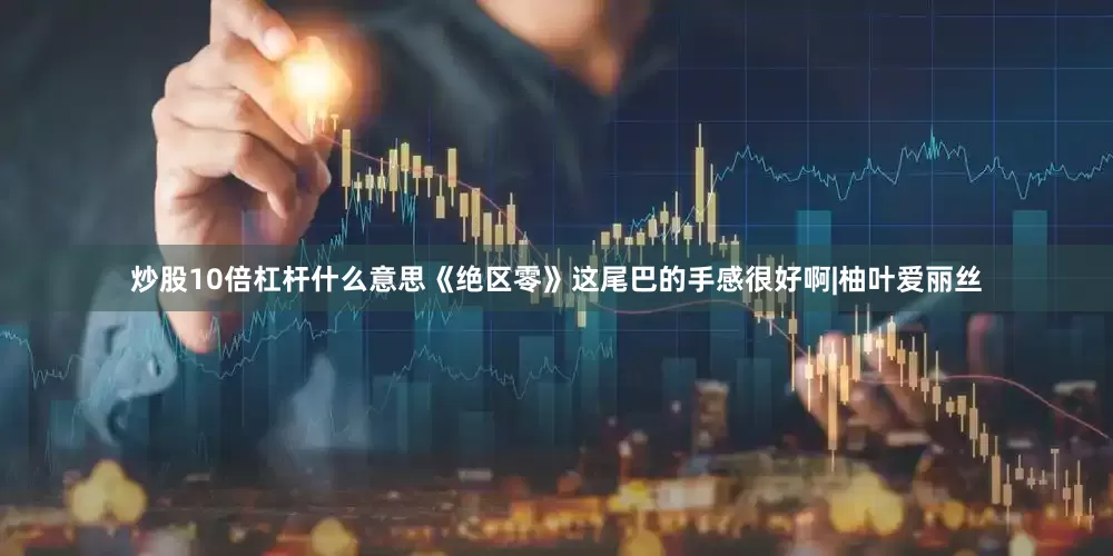 炒股10倍杠杆什么意思《绝区零》这尾巴的手感很好啊|柚叶爱丽丝